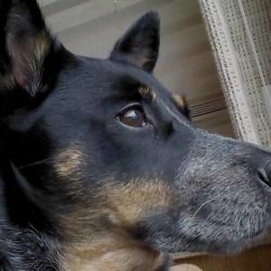 Meet your Posher, Joannah